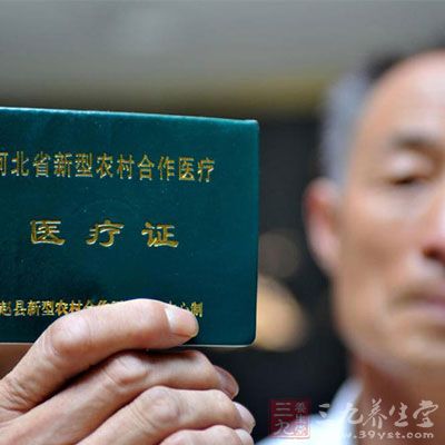 收入证明_农民收入现状调查(2)