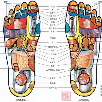 独到的脚部按摩方法 脚部保养 必须重视起来的保养部位 脚部一表现竟