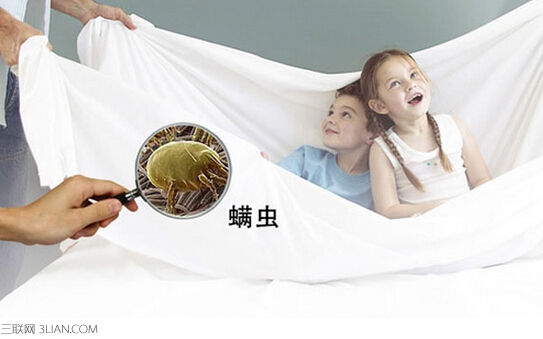 怎样除螨最有效，螨虫可引发多种疾病 - 百科教程网_经验分享平台[上学吧经验教程频道]