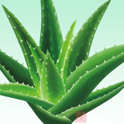 孕妇不能吃的食物表 小心谨慎为宝宝 - 百科教