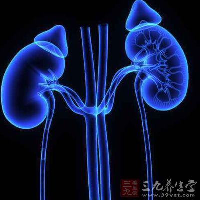 身体健康 关键时抓住生命中这些脉门 - 百科教