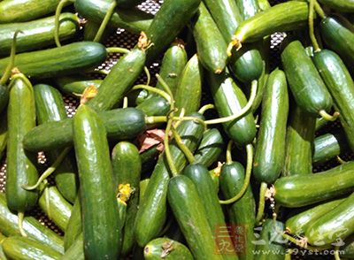 陕西强化食用农产品质量安全监管 - 百科教程网