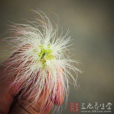 卵巢囊肿破裂 卵巢囊肿破裂是什么导致的 - 百