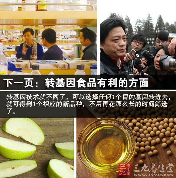 转基因食品英语论文