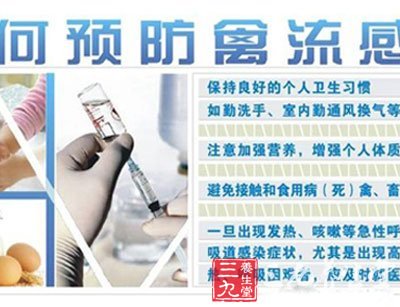 h7n9禽流感病例 北京发现首例h7n9禽流感 - 百