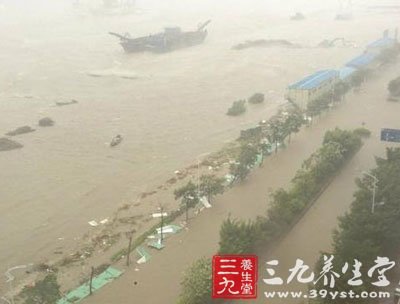 强台风天兔致广东25人遇难 遇台风如何防范自