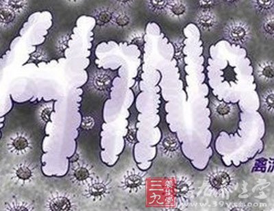 h7n9禽流感病例 上海新确诊2例人感染 - 百科教