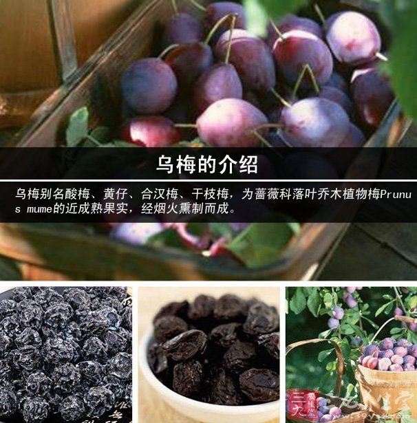 乌梅的功效 与作用