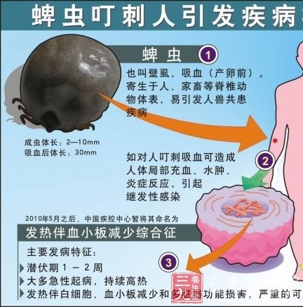 北京现蜱虫恐慌 全民点击 如何防治蜱虫叮咬 -