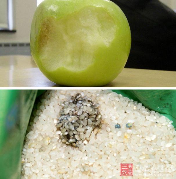 霉变的食物和不洁净的水,发霉的大米,花生,还有一些腌制食品和熟食,都
