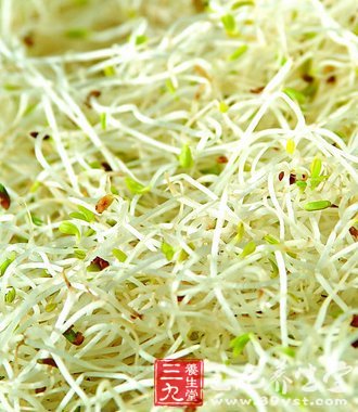 减肥新吃法 绿豆牙营养餐一周瘦不停 - 百科教