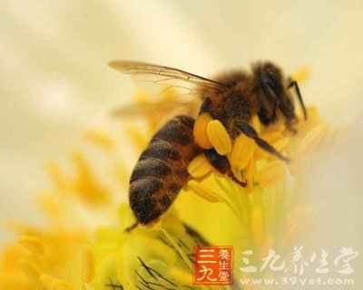 经常吃海鲜副作用_深圳澳头吃海鲜_灯芯草的功效与副作用(2)