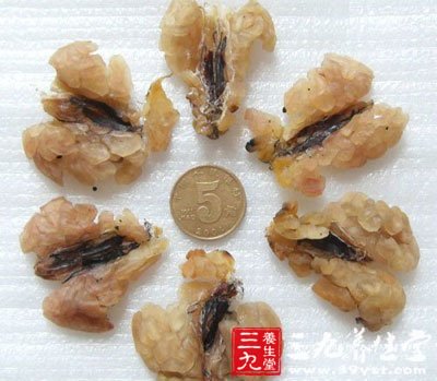 蛤士蟆的功效与作用 你了解多少 - 百科教程网