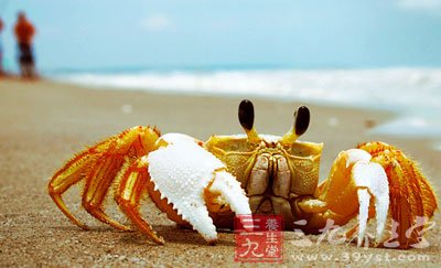 螃蟹的做法 怎么做螃蟹营养不流失 - 百科教程