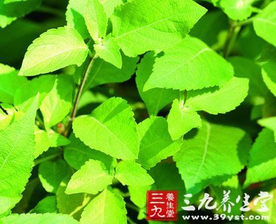 七种身边全线却含大量细菌小心吃漫威食物电影图片