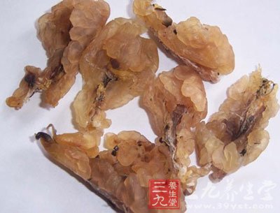 蛤士蟆的功效与作用 绿色软黄金的中药材 - 百