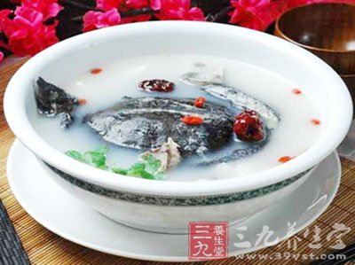 甲鱼汤的做法 6大甲鱼汤谱教你健康美味 - 百科