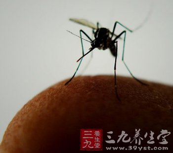 蚊虫叮咬传染能否传播乙肝病毒 - 百科教程网_