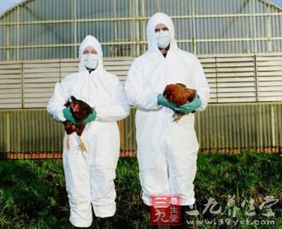 h7n9禽流感症状 国家卫计委发布诊疗方案 - 百