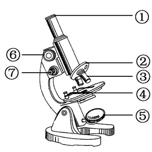 (12分)如图是显微镜结构图,请回答下列问题:(1