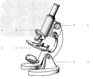 回忆一下显微镜的相关知识,完成下面填空:(1)请