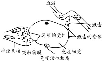 科学研究表明:精神因素(焦虑、紧张等心理应激