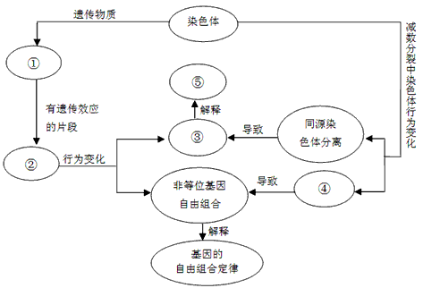 豌豆的遗传物质主要是dnab 酵母菌的遗传物质主要位于染色体上