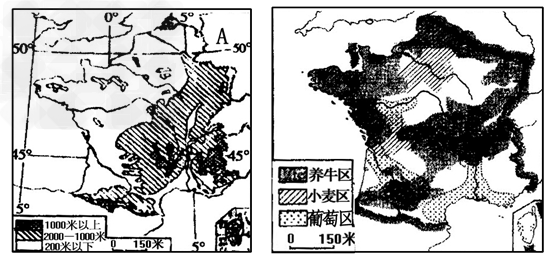 关于法国的叙述,不正确的是[ ]A.法国种植的葡萄