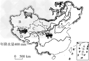 下列关于形成内蒙古温带草原牧场和青藏地区高