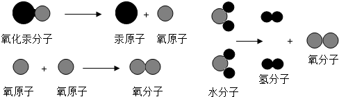 下面给出了氧化汞分子,水分子的分解示意图.