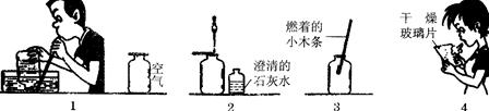 气体成分氮气氧气二氧化碳水其他气体空气中的