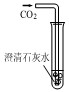 向澄清石灰水中通入co 2