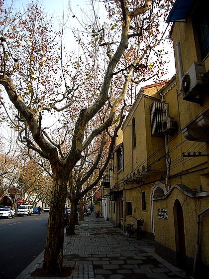 复兴路襄阳路附近,原本老上海的法租界一带,这是最上海的地方