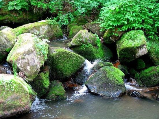 蛟河冰湖沟风景区图片